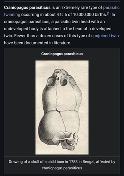 1000005288.jpg