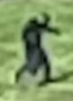 1779647568988.png