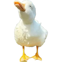 1779670194584.png