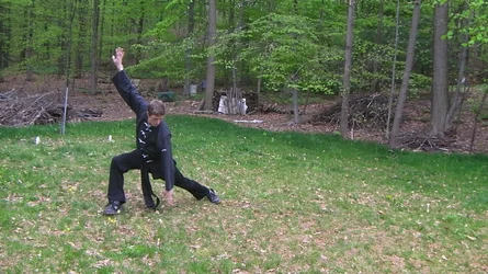 lawn pose.jpg