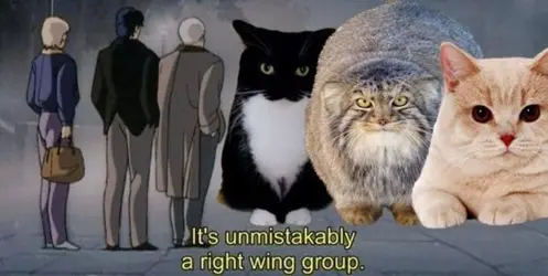 20260518_031049.png