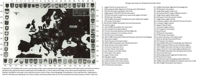 IMG_7647.png