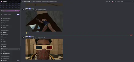 DXRP.png