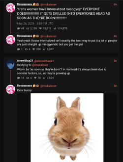 Screenshot_2026-05-26-21-12-07-569.jpg