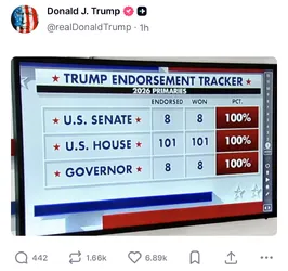 1779889077164339m.jpg