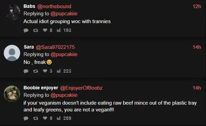 not a feminist 7.PNG