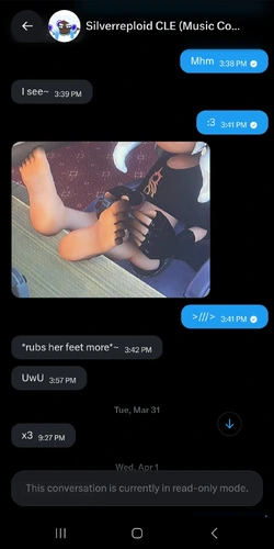 silver x dm 1.jpg