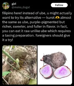 Screenshot_20260528-150551.png