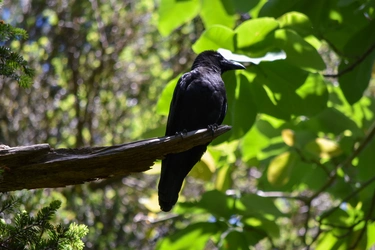 DSC_0635.jpg
