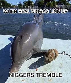 HJmdznbWcAUQihq.jpeg