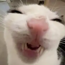 SnapInsta.to_544637879_18040568423677518_2248334457717642653_n.jpg