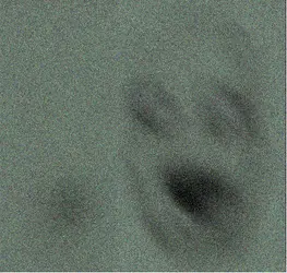 Poopson 224.png