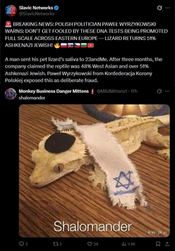 shalomander.jpg