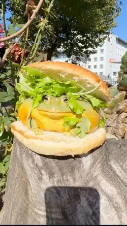 1780468627100.png