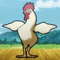 kokke-a-kokke.gif