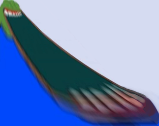 1703959402882.jpg