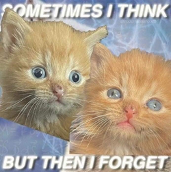 cometimes-think-but-then-forget.jpg