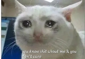 crying-cat-meme-template-thumbnail-4e806a85.jpg