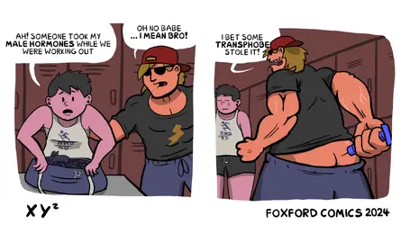XY2-1536x826.png