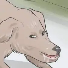 1780794866471.png