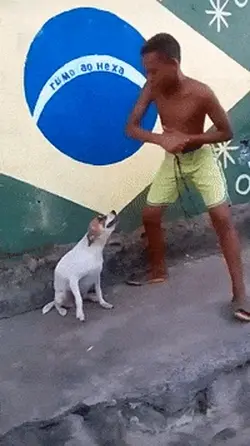 1000020676.gif