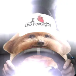 1780880924527.png