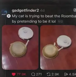 1000028842.jpg