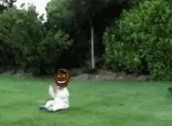 1780824690117829.gif