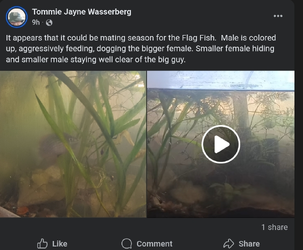 Screenshot_20260610_044318_Chrome.jpg