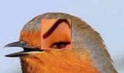 1717949995690733.jpg