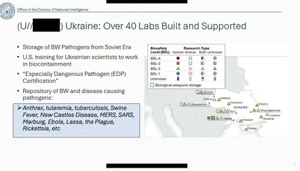 labs2.jpg