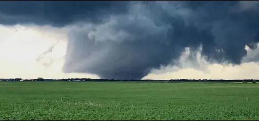 peoria tornado.png