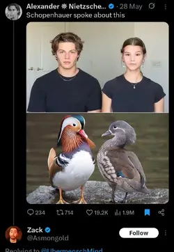 1000004094.png