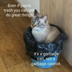 1000039109.jpg