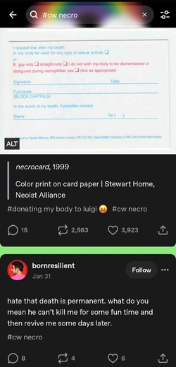 1000065003.jpg