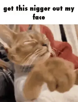1754092143696459.gif