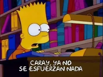 images (16).jpeg