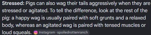 1781471519672.png