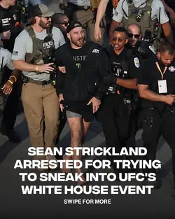 1781487802440.png