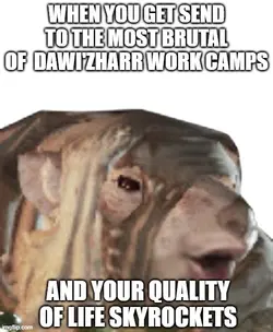 883c53.png