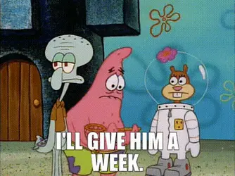 week-11.gif