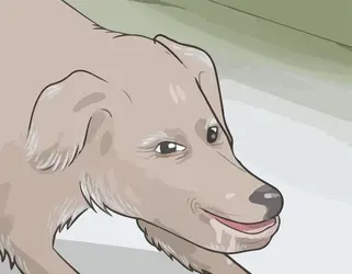 1781564793923.png