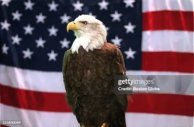 gettyimages-155830049-612x612.jpg