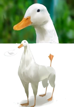 1779465921740027.jpg