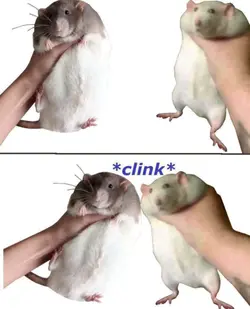 1779566575145591.png