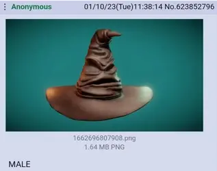 what-type-of-magic-does-the-sorting-hat-have-v0-yan2z38qbcdb1.png