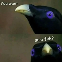 1781659260053.jpeg