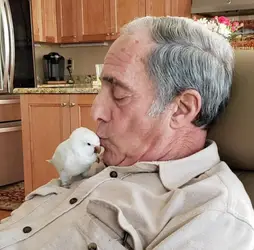 they_didnt_want_any_pets-17.jpg
