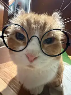SnapInsta.to_610258762_18089771726006945_8864769304059732975_n.jpg