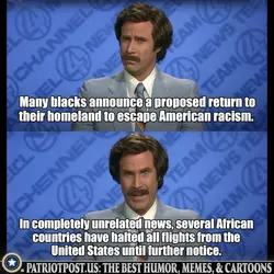 1781735390002.png